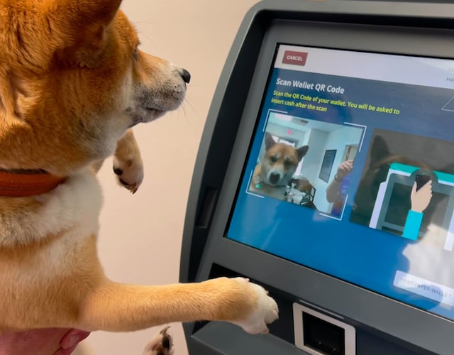 Dog Using Crypto ATM